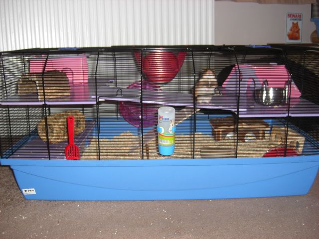 skyline alexander hamster cage