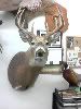 sdhunter