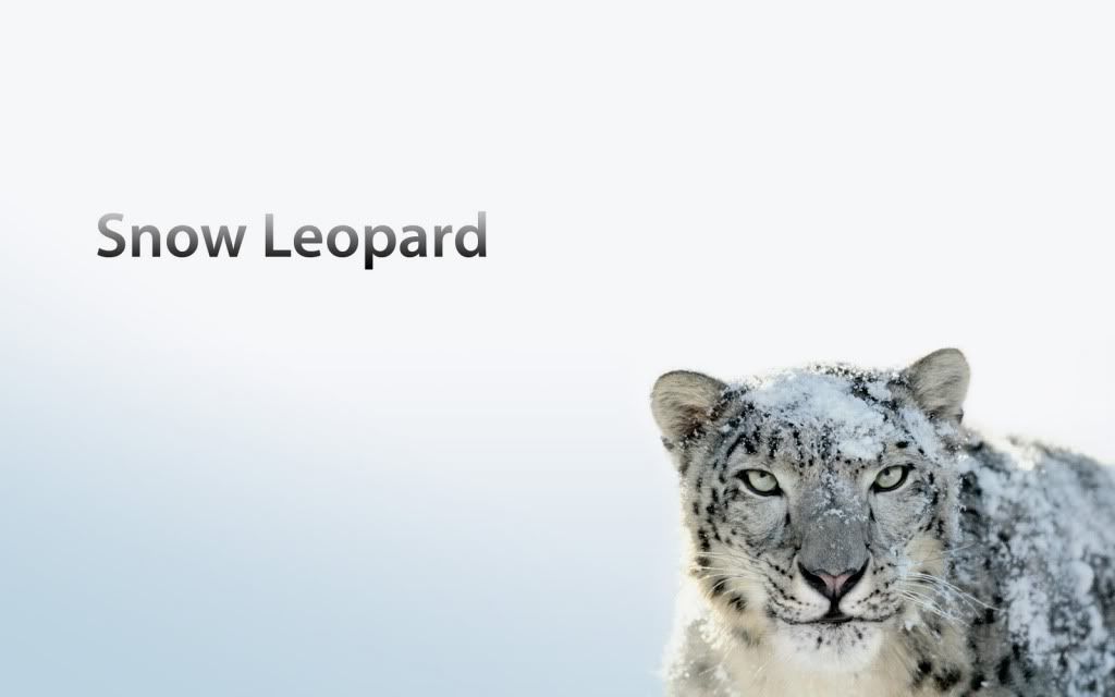 snow leopard wallpaper hd. HD Wallpaper ~*$*~ Snow