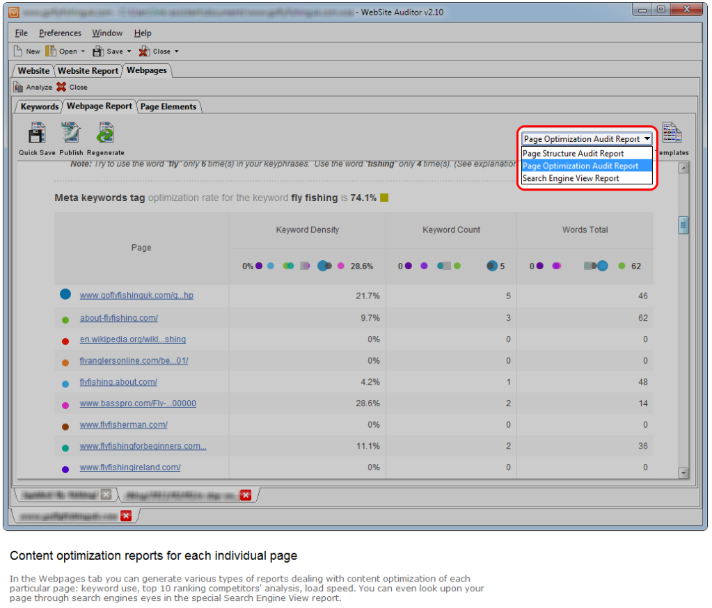 seo reports software