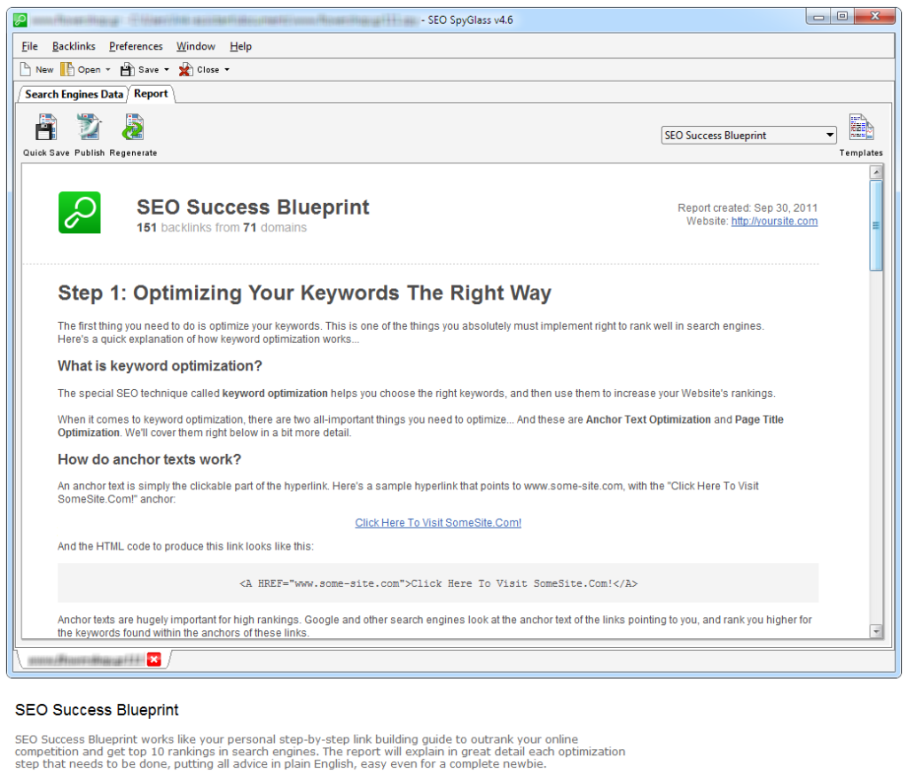 SEO Beginners Get Their Own Copy of SEO Success Blueprint with Professional Link Building Tips - 10 (c) alehbarysevich seo checker