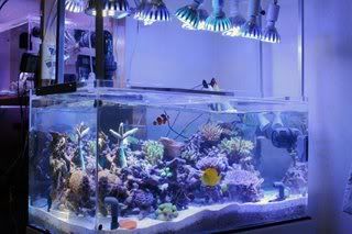 led-aquarium.jpg