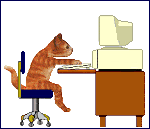 a_cat_computer-1.gif