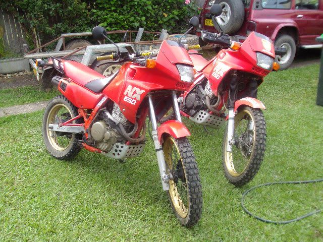 DSC01598.jpg