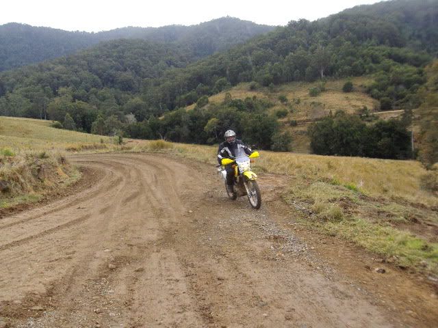 DSC02431.jpg