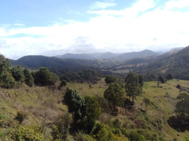 DSC02437.jpg