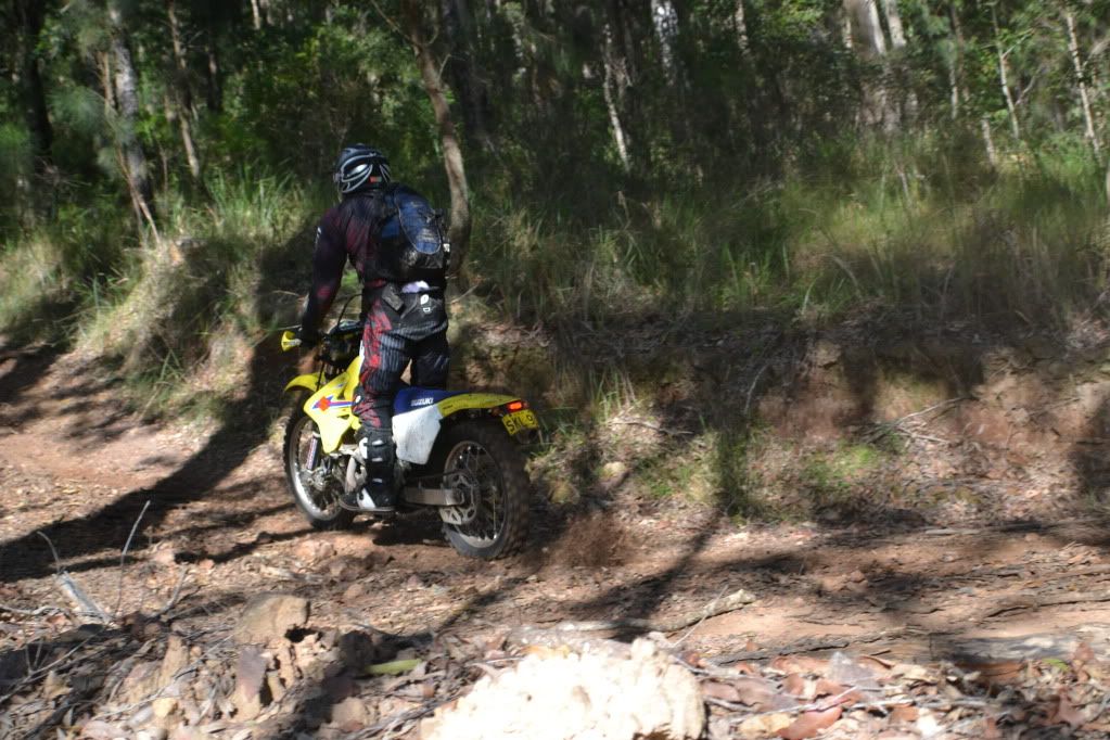 DSC_0209.jpg