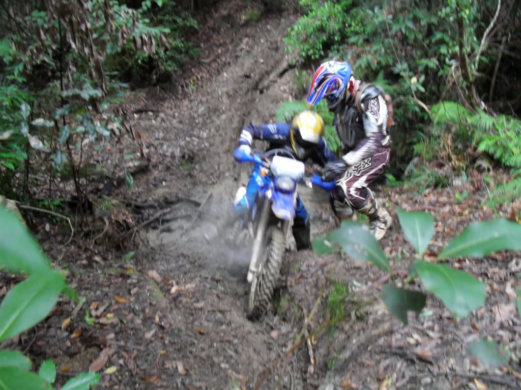 SDC11029.jpg
