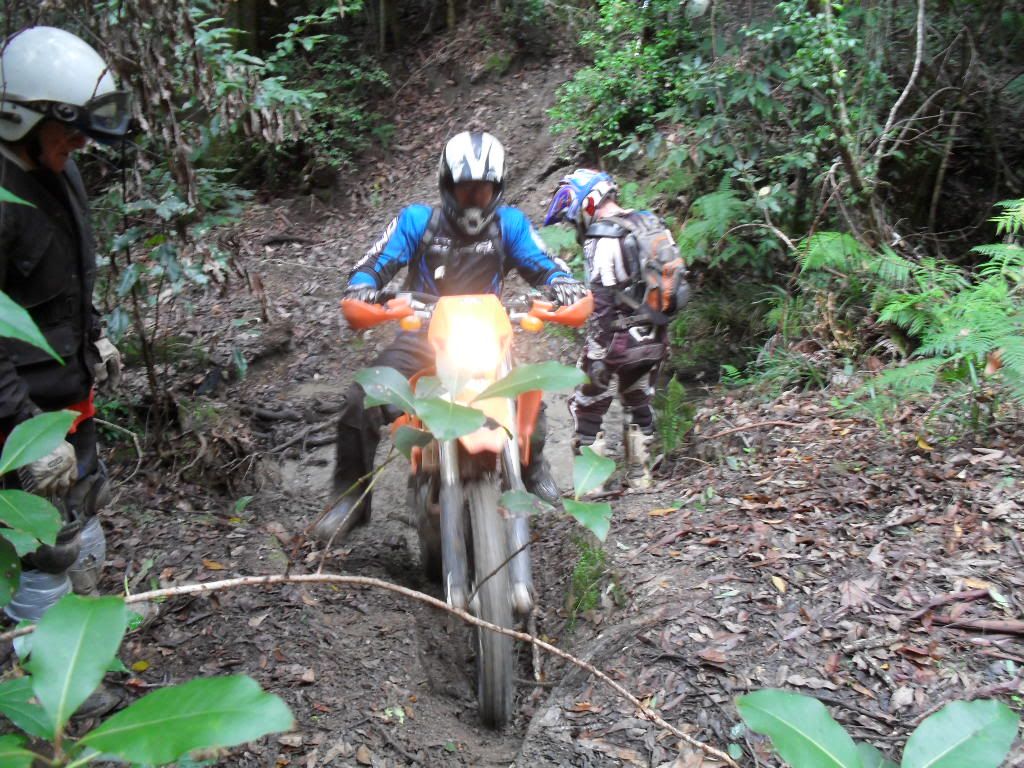 SDC11031.jpg