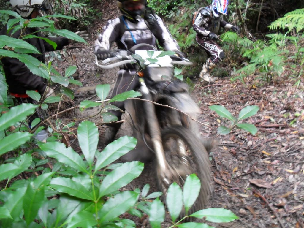 SDC11033.jpg