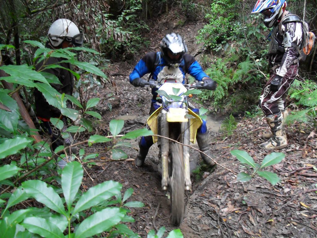 SDC11034.jpg