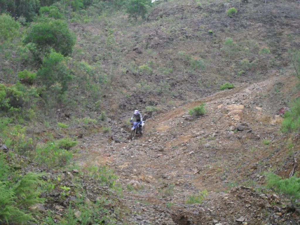 SDC11043.jpg