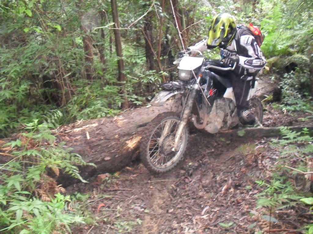 SDC11046.jpg