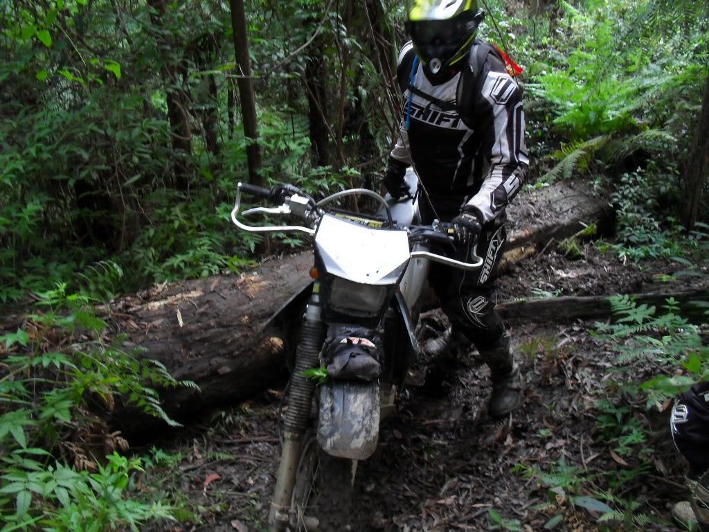 SDC11047.jpg