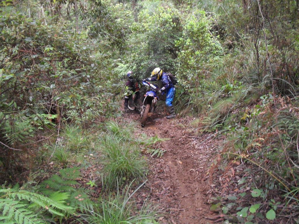 SDC11049.jpg