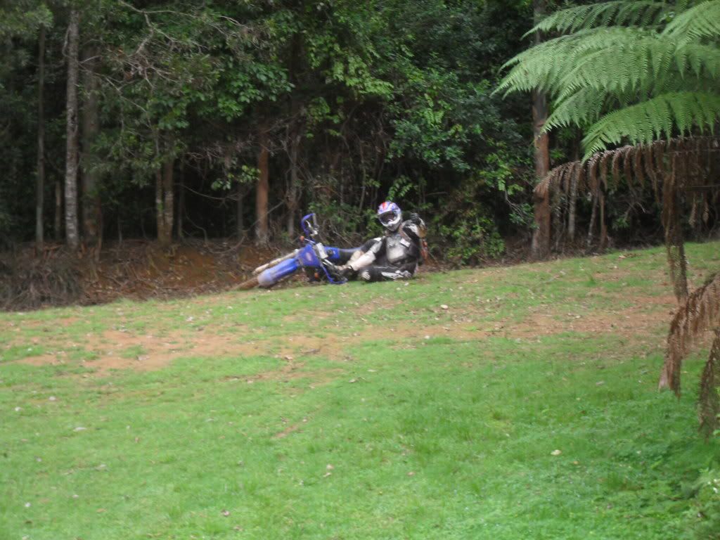 SDC11057.jpg