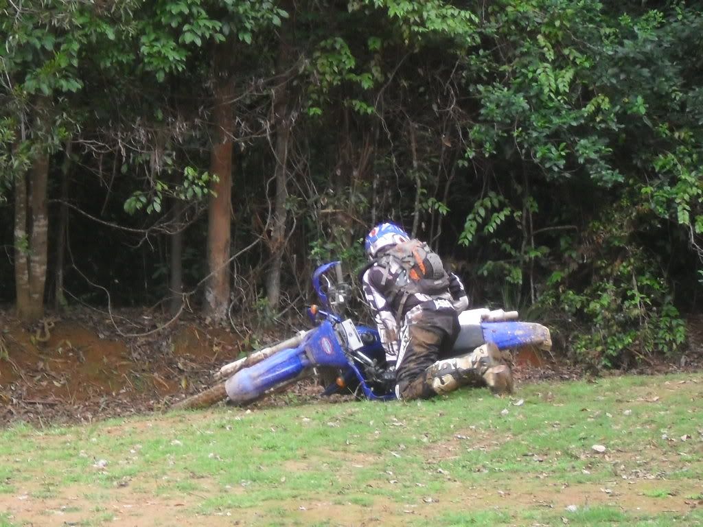 SDC11058.jpg