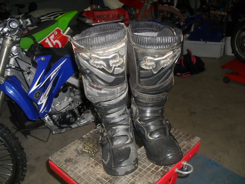 SDC11172.jpg