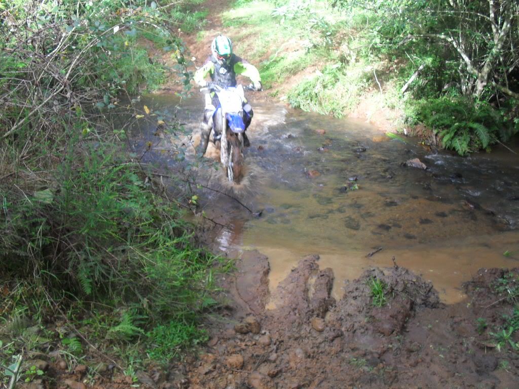 SDC11203.jpg