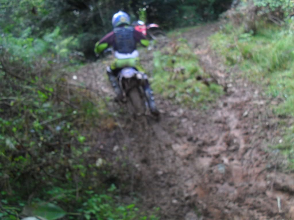 SDC11204.jpg