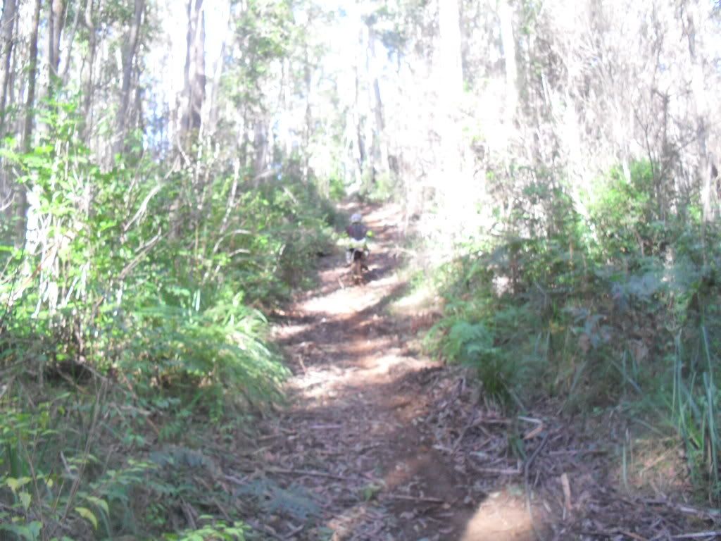 SDC11207.jpg