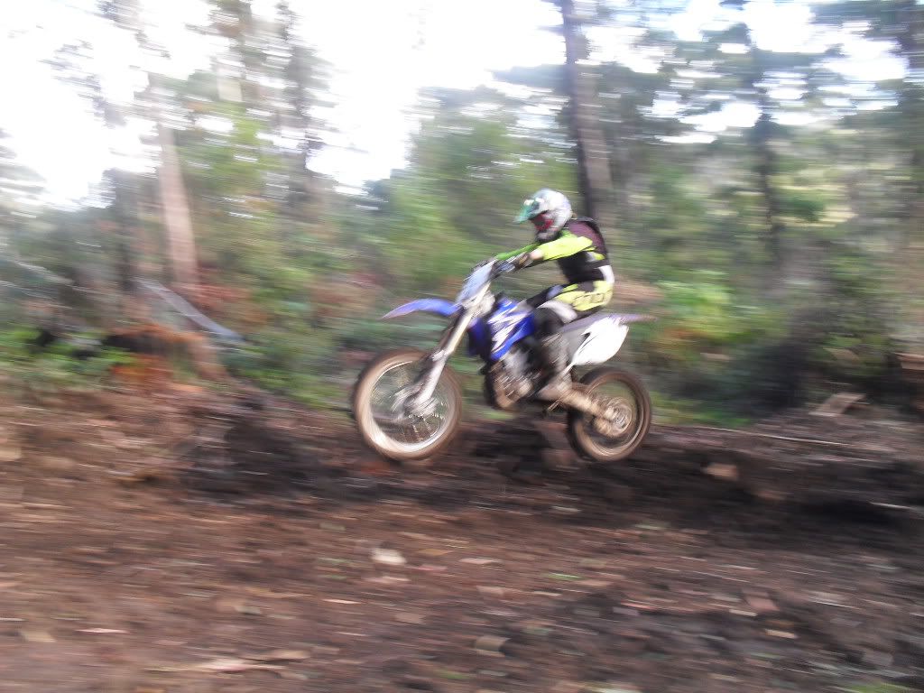 SDC11216.jpg