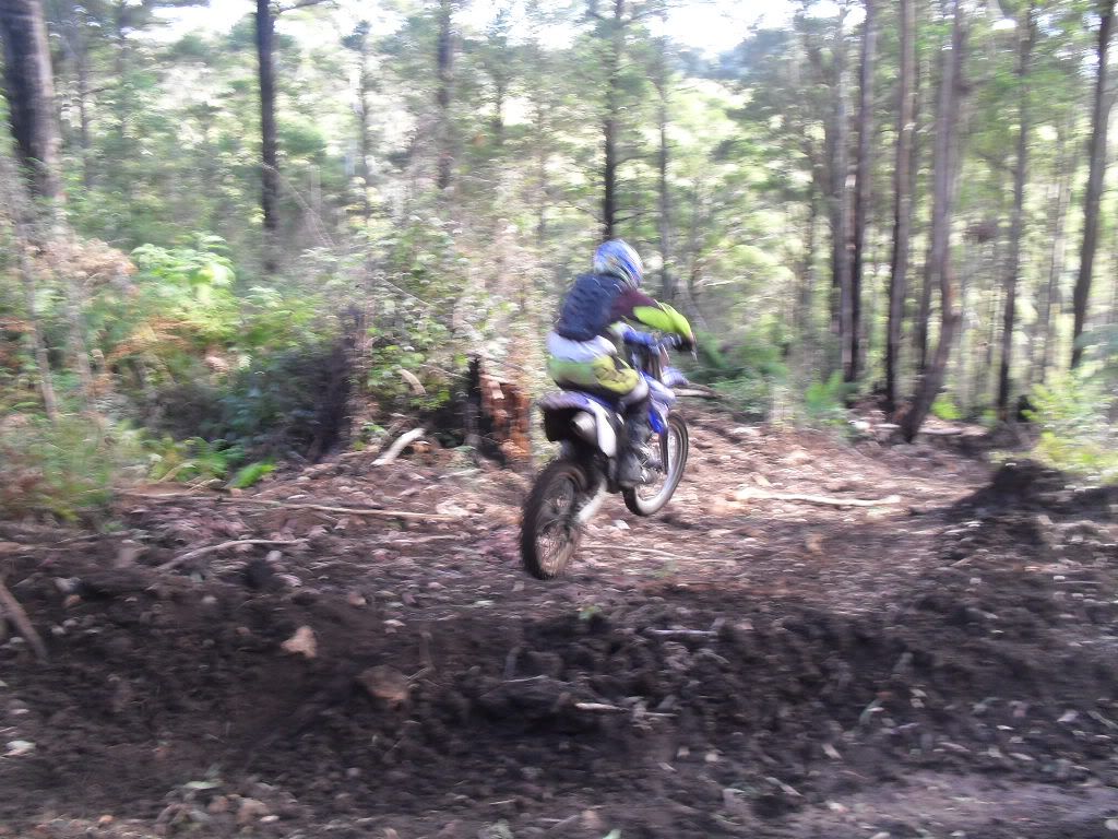 SDC11217.jpg
