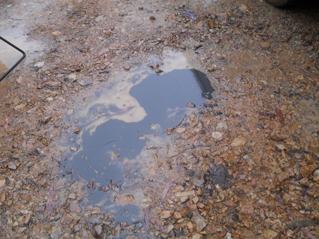 SDC11230.jpg
