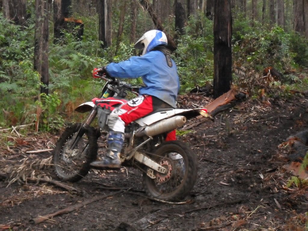SDC11257.jpg