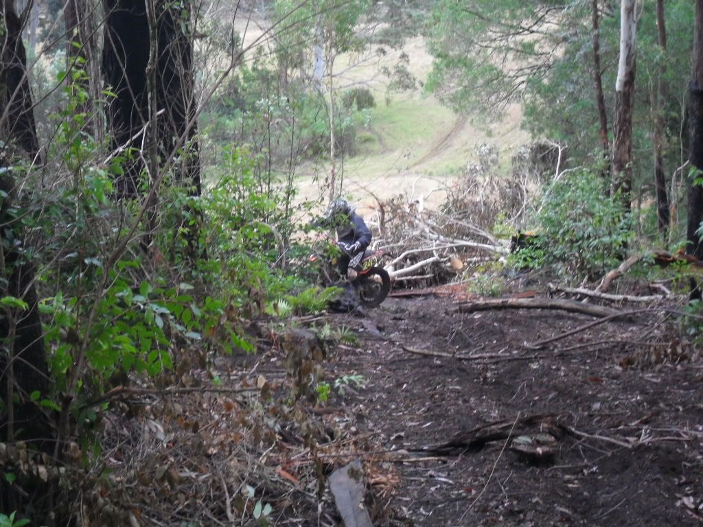 SDC11259.jpg