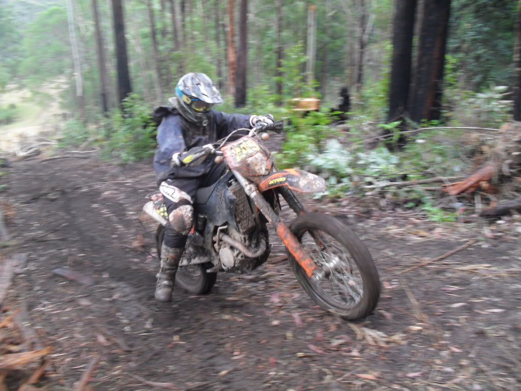 SDC11260.jpg