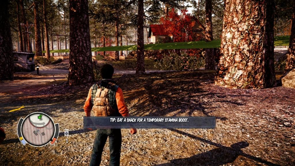 StateOfDecay2014-08-0714-19-42-31_zpsd69