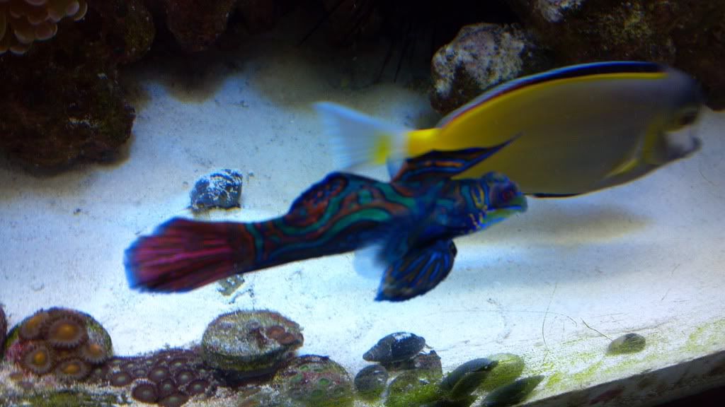 2011-12-31_21-35-23_252.jpg