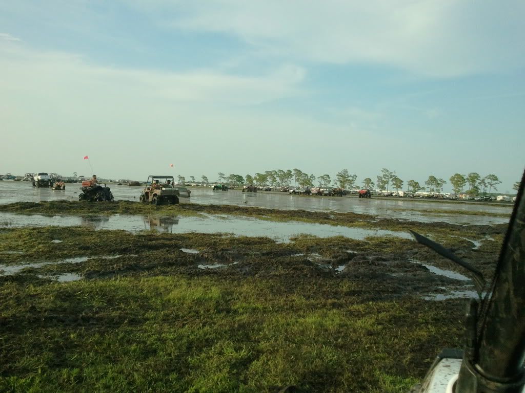 Posted Image