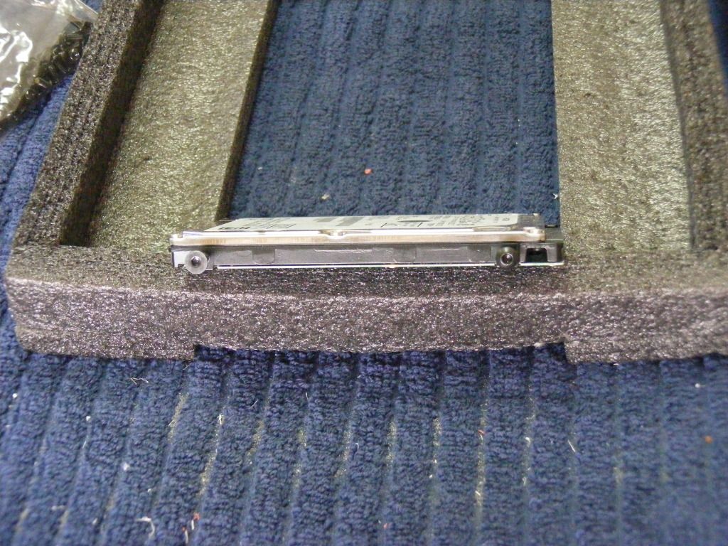 DSCF3338.jpg