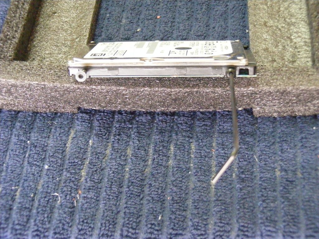 DSCF3341.jpg