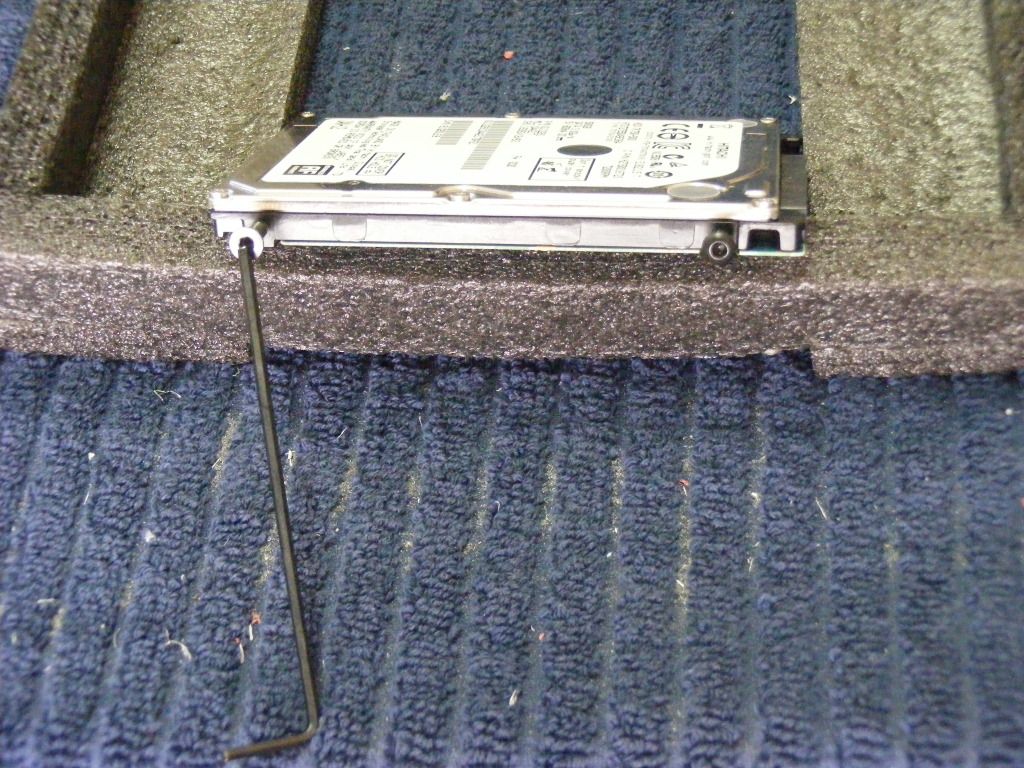 DSCF3342.jpg