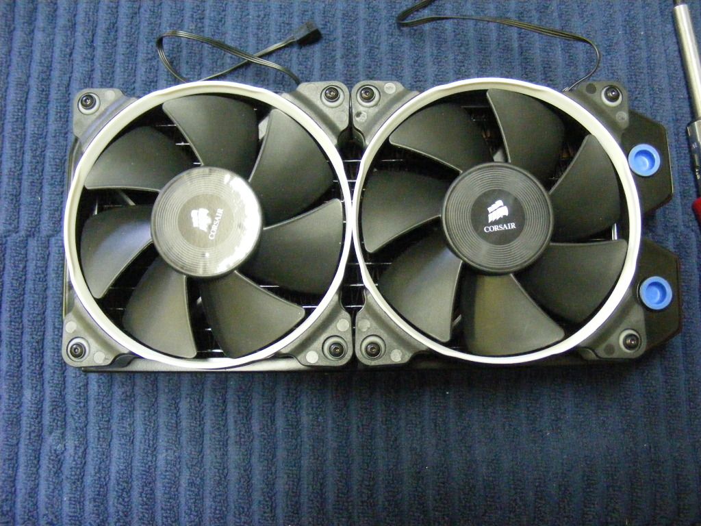 DSCF3381.jpg