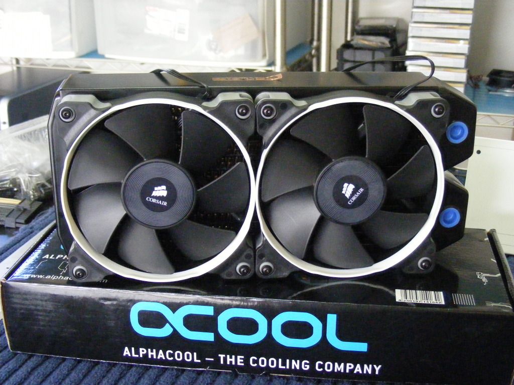 DSCF3383.jpg