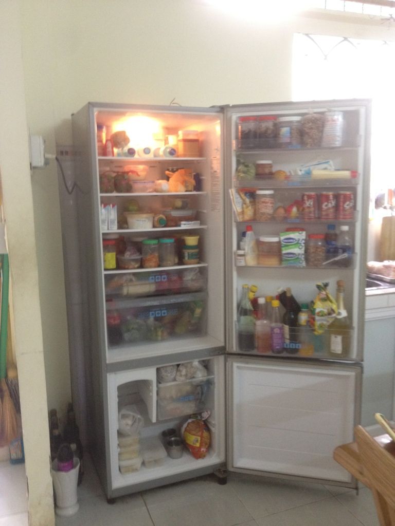 Tủ lạnh Panasonic 300 L và tủ đông Sanaky 350 L - 2