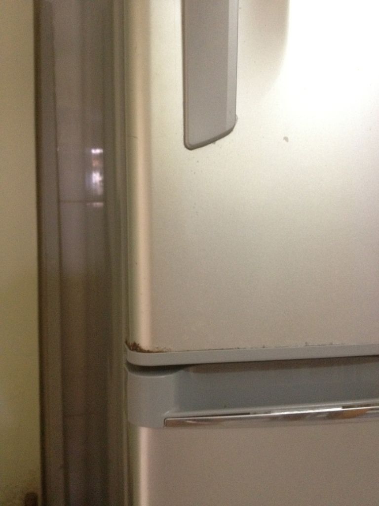 Tủ lạnh Panasonic 300 L và tủ đông Sanaky 350 L - 3