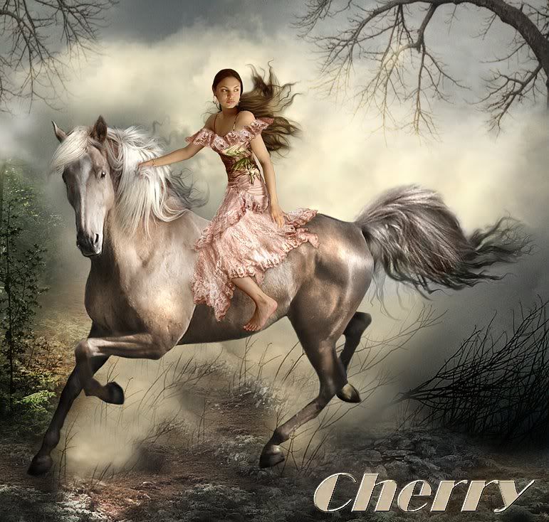 cherry-2.jpg 