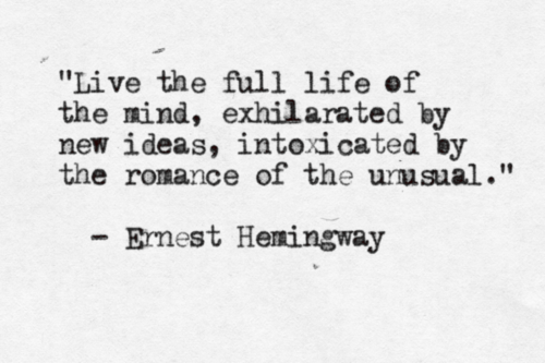  photo Hemingway 1_zps6uev6smi.png