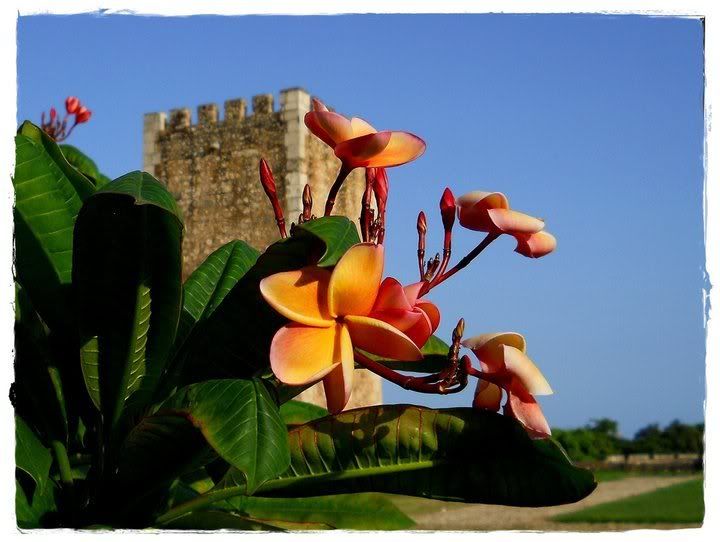 Hermosos paisajes de Republica Dominicana Hermosos paisajes de Republica Dominicana