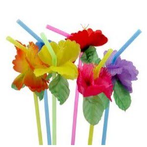 Hibiscus Straws