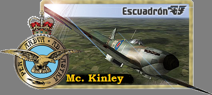Imagen enviada