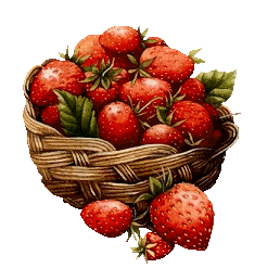 photo ovoce1.gif