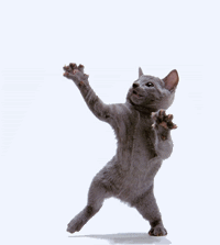 Cat_Animated.gif