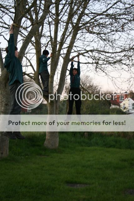  photo IMG_3053_zpsqhr35qce.jpg