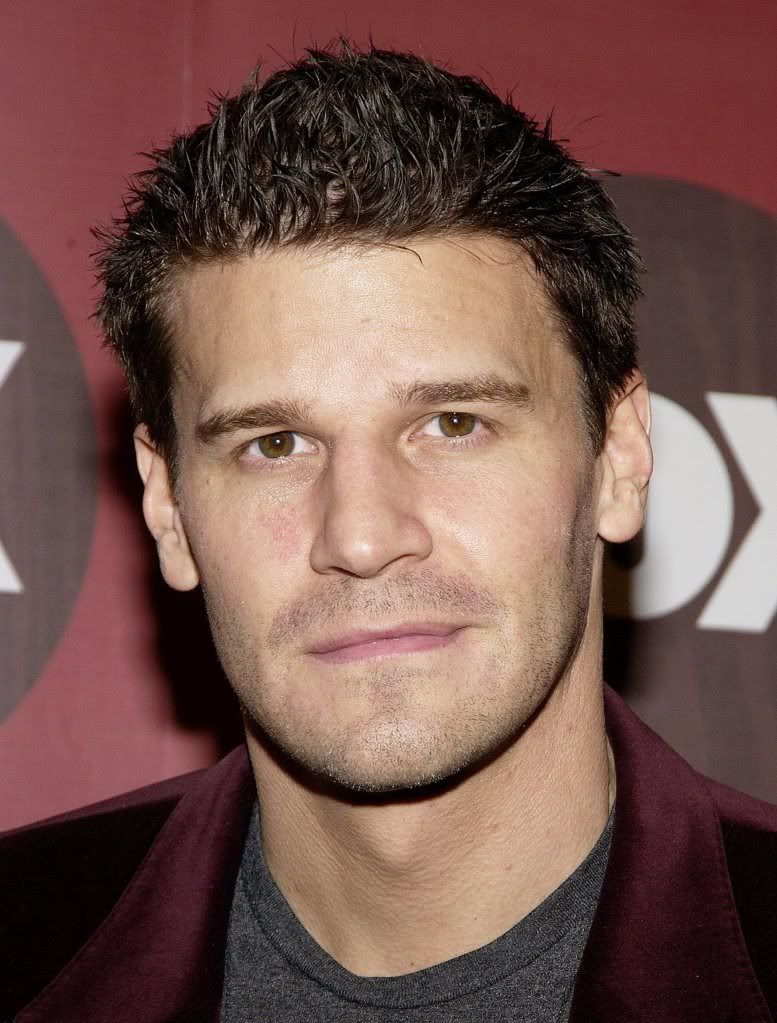 davidboreanazagenteseeleybooth